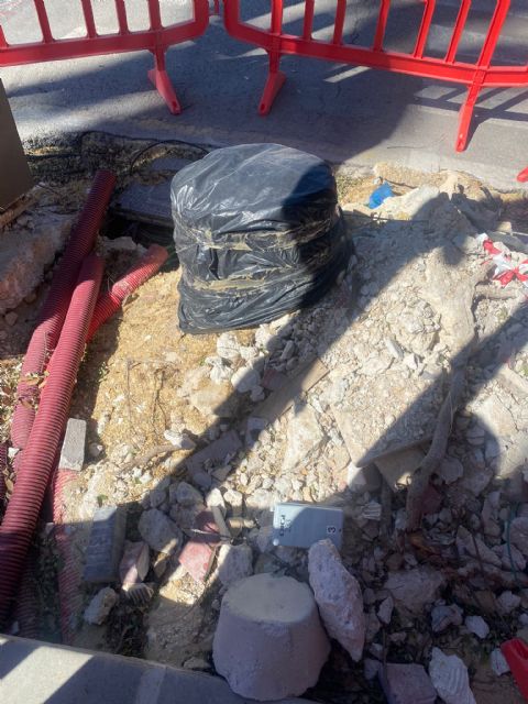 Los socialistas continúan imparables con la tala de árboles en Murcia - 3, Foto 3