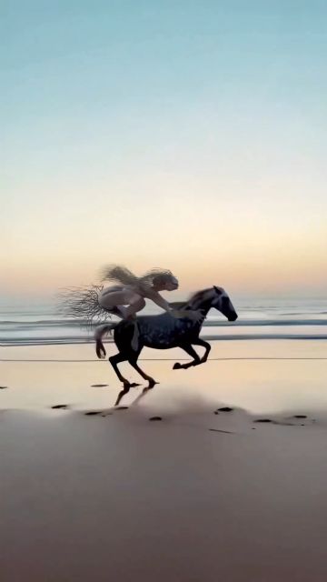 'Reel or Die': la enésima apuesta del IBAFF por los nuevos formatos - 1, Foto 1