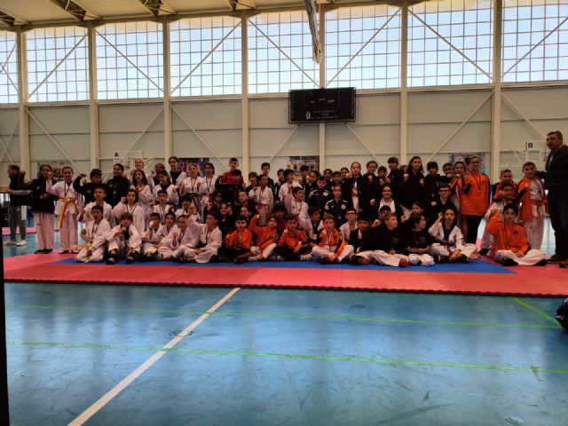 III liga regional de combate de Taekwondo - 1, Foto 1