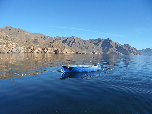 Publicada la convocatoria de ayudas de 2,8 millones para potenciar proyectos relacionados con la economía azul durante los próximos tres años - 1, Foto 1