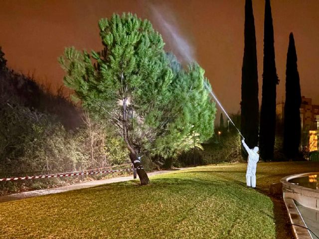 Avanza la campa&ntilde;a contra la procesionaria del pino con actuaciones en las zonas verdes de más de una treintena de barrios y pedanías en febrero - 2, Foto 2