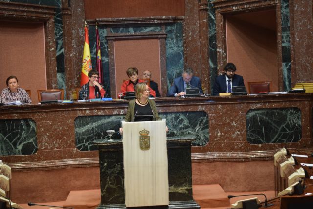 El PP solicita el Grado III en la Ley de Dependencia para las personas con una enfermedad rara - 1, Foto 1