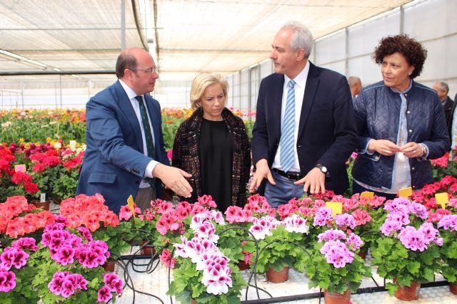 Pedro Antonio Sánchez: Los productores de flores han ganado mercado internacional al apostar por la investigación y la innovación - 1, Foto 1