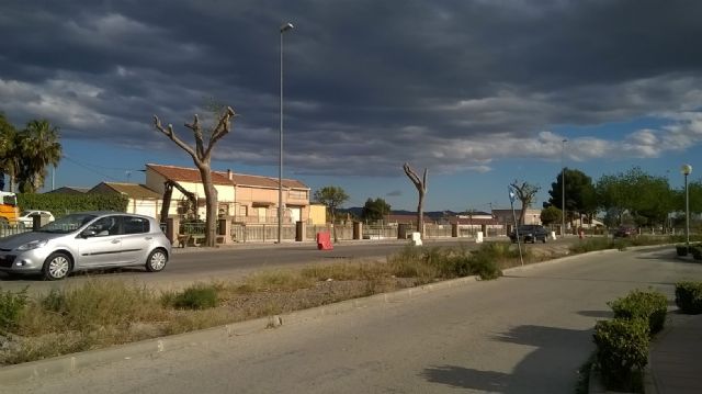 El alcalde vuelve a la tala - 1, Foto 1