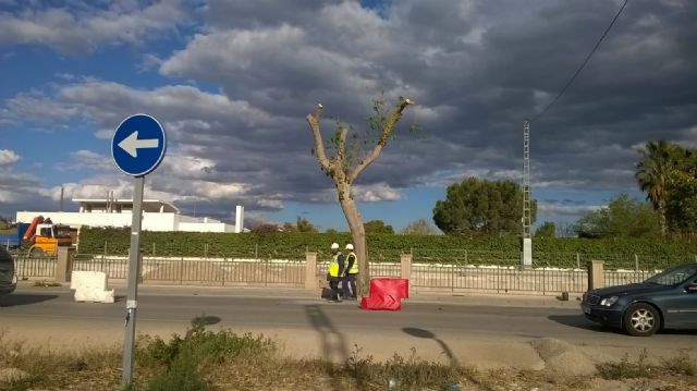El alcalde vuelve a la tala - 2, Foto 2