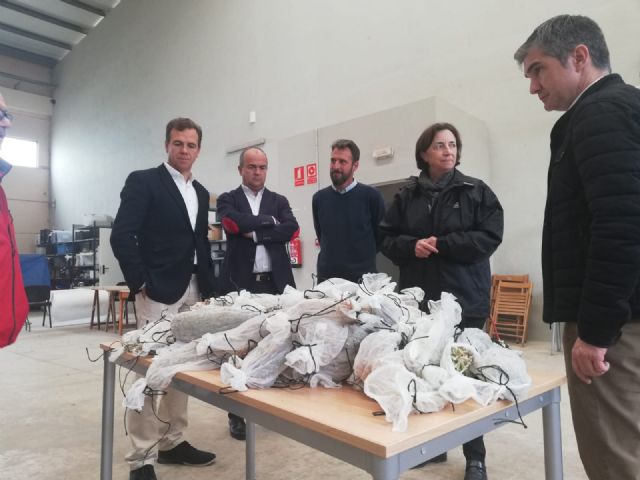 La agricultura regional se convierte en referente en la mejora genética de semillas de hortícolas - 2, Foto 2