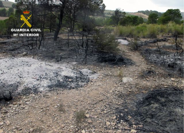 Ocurrido en la diputación lorquina de Zarzadilla de Totana - 2, Foto 2