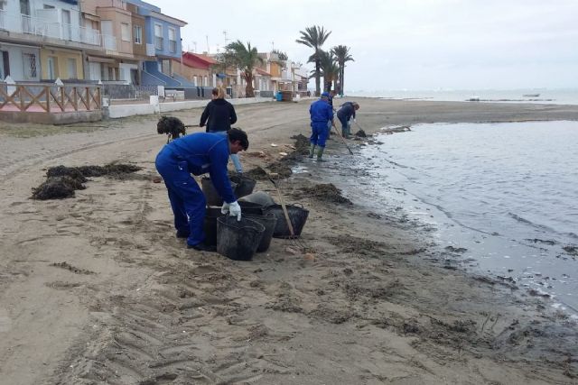 Avanzan a buen ritmo los trabajos de limpieza de las playas del Mar Menor de cara a Semana Santa - 1, Foto 1