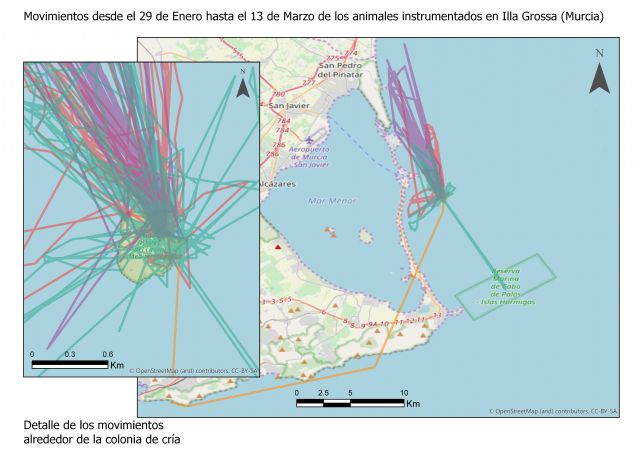 Siguiendo a los cormoranes moñudos para evaluar las áreas marinas protegidas del levante - 2, Foto 2