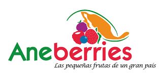 Aneberries continúa trabajando y operando para ofrecer las berries de México a los consumidores - 1, Foto 1