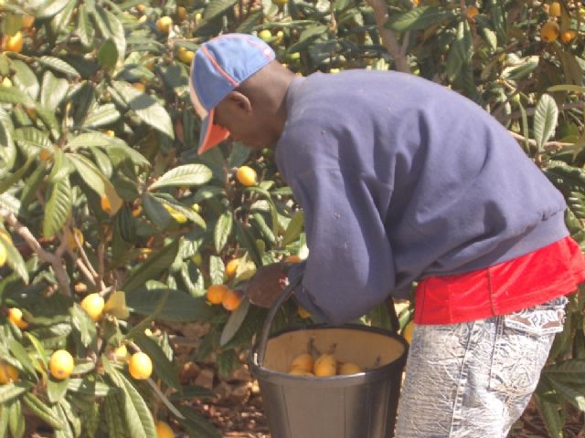 Unión de Uniones pide que se facilite la disponibilidad de la mano de obra para el campo respetando todas las precauciones sanitarias - 1, Foto 1
