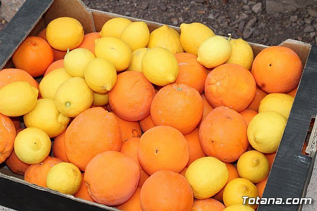 Los mercados de abastos de Murcia se unen para ofrecer a los murcianos un servicio a domicilio gratuito - 1, Foto 1