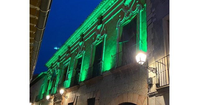 El Ayuntamiento iluminará su fachada de verde cada noche - 1, Foto 1