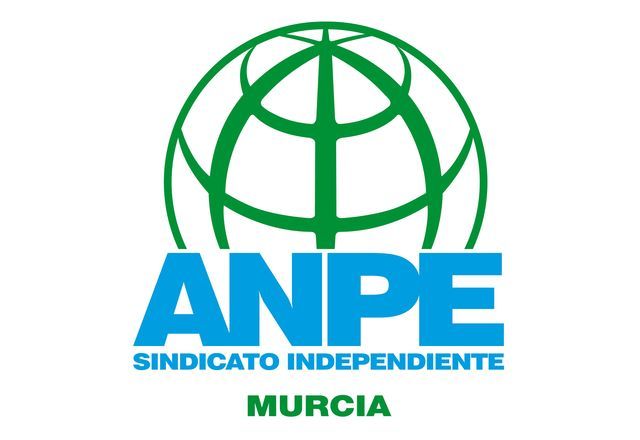 ANPE Murcia consigue que no despidan a los interinos docentes hasta que no se incorpore el titular - 1, Foto 1