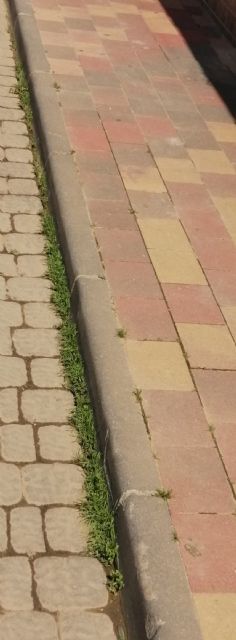 PP: Llega la Semana Santa y el pueblo de Las Torres de Cotillas sigue sin barrer - 5, Foto 5