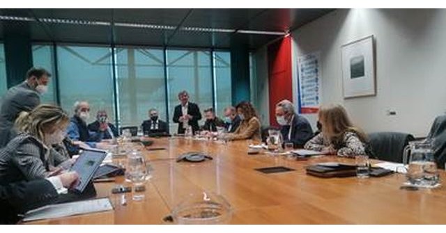 Intervención de Mariano Zapata durante la Comisión de Gobierno de Fepex, Foto 1