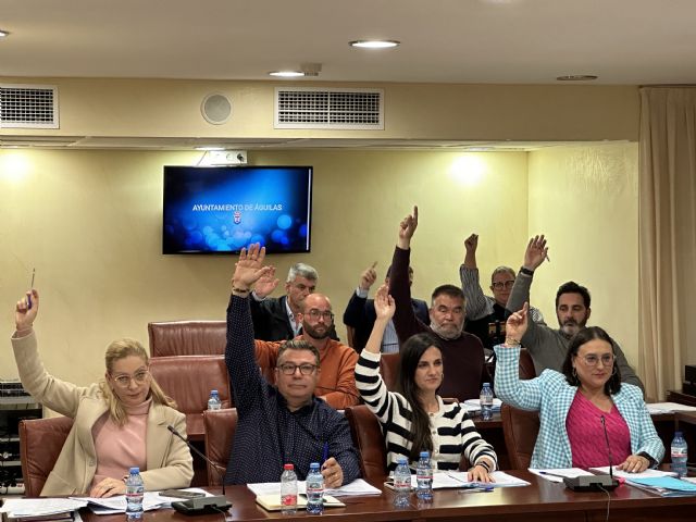 Reverte: El equipo de Gobierno socialista sube un 42% la tasa de recogida de basuras e incrementa el impuesto de construcciones, instalaciones y obras - 1, Foto 1