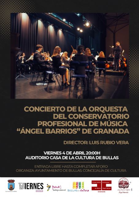 Concierto de la Orquesta del Conservatorio 'Ángel Barrios' este viernes en la Casa de la Cultura - 1, Foto 1