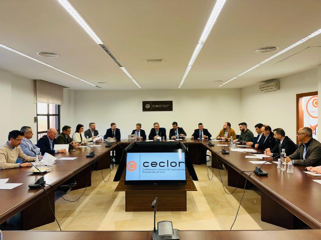 El Plan Industrial de la Región recoge ya el potencial de Lorca por su alta disponibilidad de suelo en Saprelorca y los polígonos de Serrata y La Hoya - 1, Foto 1