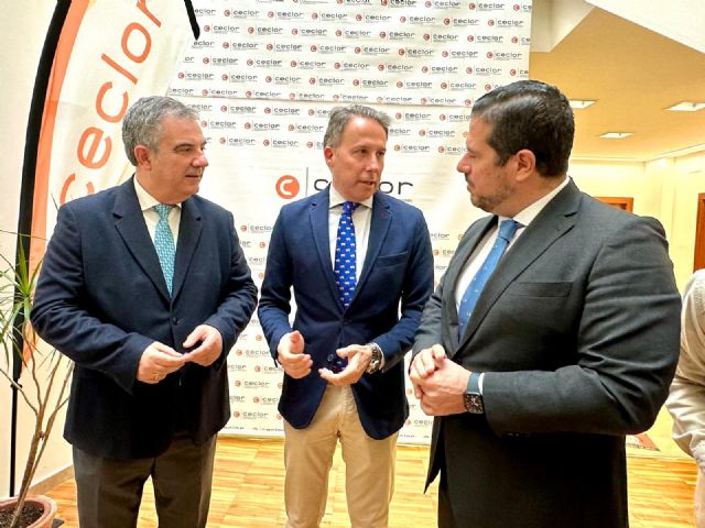 El Plan Industrial de la Región recoge ya el potencial de Lorca por su alta disponibilidad de suelo en Saprelorca y los polígonos de Serrata y La Hoya - 2, Foto 2