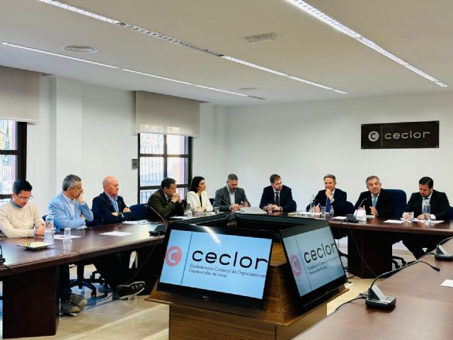 El Plan Industrial de la Región recoge ya el potencial de Lorca por su alta disponibilidad de suelo en Saprelorca y los polígonos de Serrata y La Hoya - 3, Foto 3