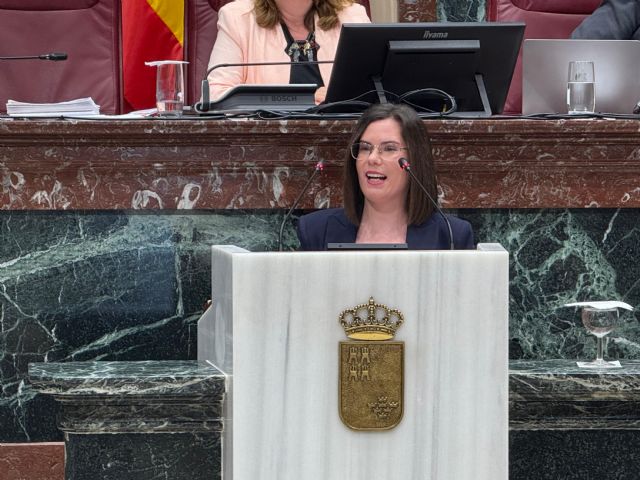 El PSOE saca adelante una moción para reducir la lista de espera en el acceso a la dependencia y discapacidad - 1, Foto 1