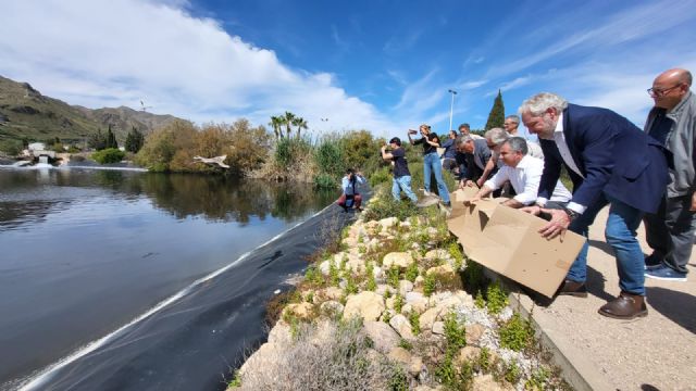 El Gobierno regional refuerza su compromiso con la biodiversidad con la suelta de 30 cercetas pardillas más en la Comunidad - 1, Foto 1