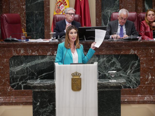 El PP desmonta a la izquierda: No hay reducción de personal en el Rafael Méndez, ni desmantelameniento; hay un 25% más de plantilla - 1, Foto 1