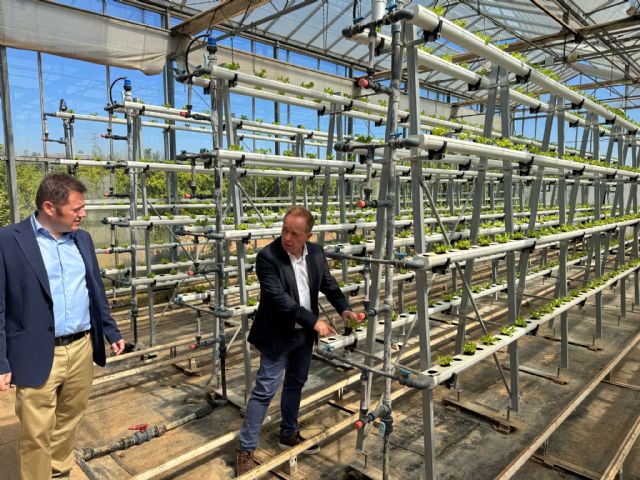 El Gobierno regional colabora con la Fundación Grupo Cajamar en el asesoramiento de 'startups' para transformar y digitalizar el sector agrícola - 1, Foto 1