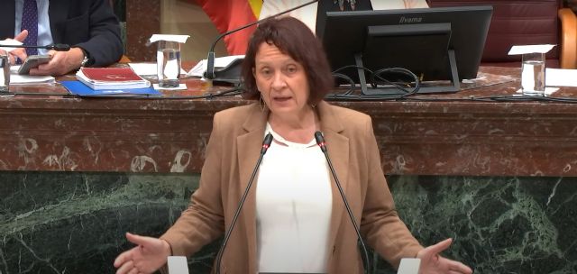 Podemos considera una oportunidad perdida el fracaso de su moción en favor de los educadores sociales - 1, Foto 1