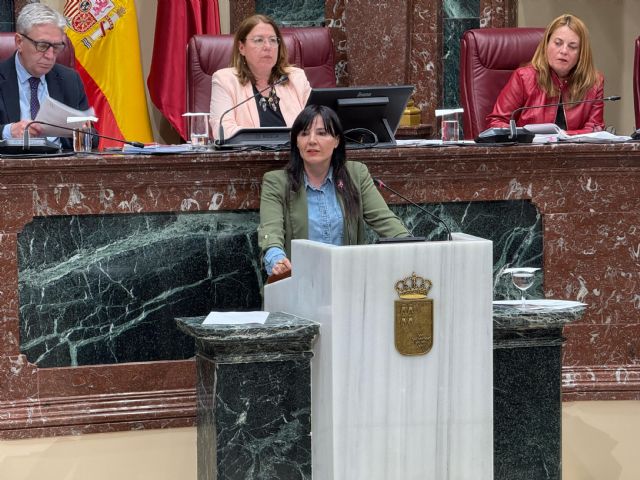 La Asamblea Regional aprueba una moción del PSOE para contratar de forma inmediata el personal sanitario necesario en el Hospital Rafael Méndez - 1, Foto 1