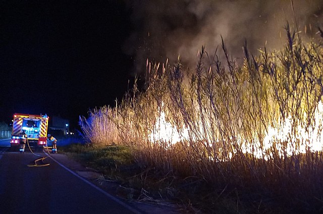 Bomberos apagan un incendio de cañas en la ribera del río Segura, en El Menjú - 1, Foto 1