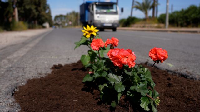 El PSOE inicia la campa&ntilde;a Una flor en cada bache para visibilizar el abandono del PP en las pedanías - 2, Foto 2