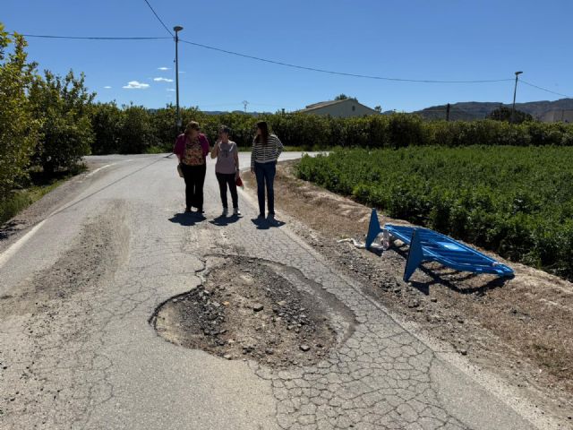 El PSOE inicia la campa&ntilde;a Una flor en cada bache para visibilizar el abandono del PP en las pedanías - 4, Foto 4