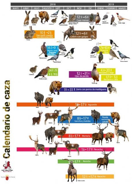 La Comunidad hace público el calendario de caza en la Región de Murcia - 1, Foto 1