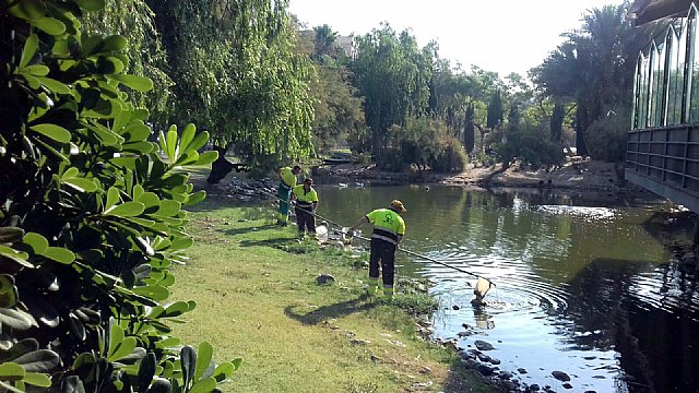 El Ayuntamiento realiza la limpieza de los principales lagos de Murcia - 1, Foto 1