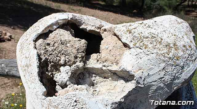 Unos vándalos destrozan una estación del Vía Crucis de La Santa, Foto 5