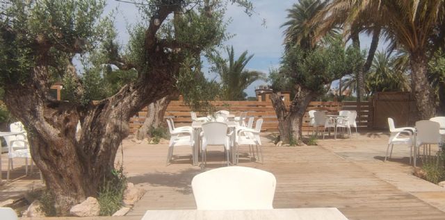 Nace el Camping Las Salinas, un refugio invernal del turismo europeo en el kilómetro cero de La Manga - 4, Foto 4