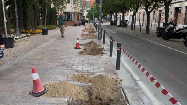 Murcia gana un nuevo corredor verde en la calle Burruezo con la sustitución de bolardos por arbolado urbano - 2, Foto 2