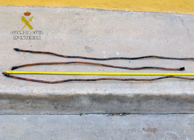 La Guardia Civil recupera cien metros de cable de cobre de la estación de tren de Cieza - 1, Foto 1