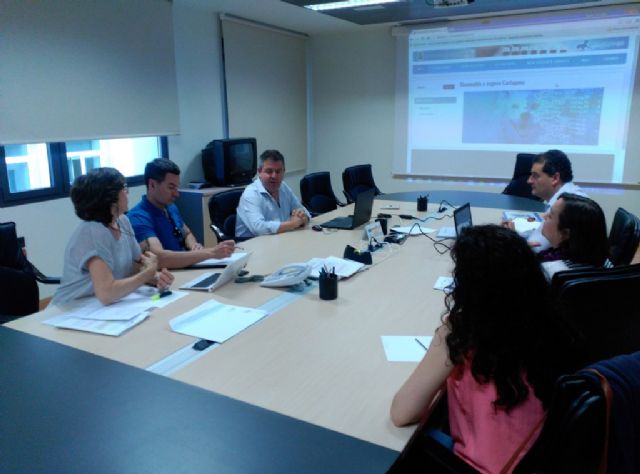 Calidad de Vida estudia la implantación de un sistema de identificación de mascotas mediante su ADN - 1, Foto 1