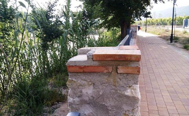 Exigen a Tragsa y Acuamed cumplir los compromisos sobre el mantenimiento del Paseo Ribereño - 1, Foto 1