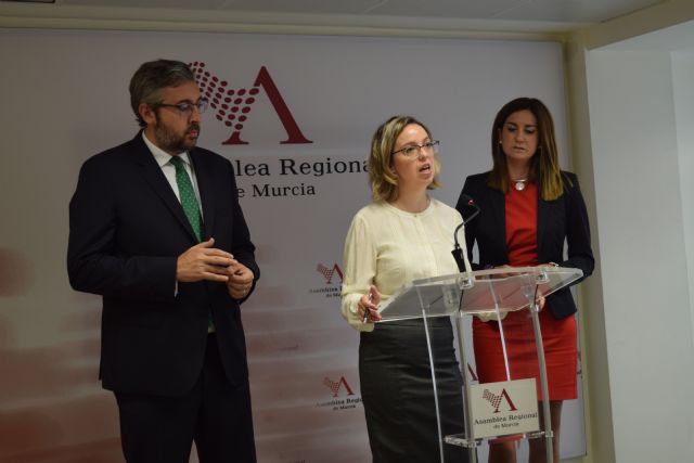 Inmaculada González: La Ley de Accesibilidad es pionera y fruto del trabajo conjunto con el CERMI - 1, Foto 1