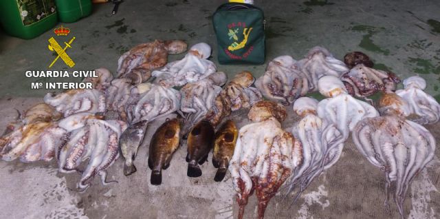 La Guardia Civil se incauta de 25 kilos de pulpo en aguas de Cartagena - 1, Foto 1