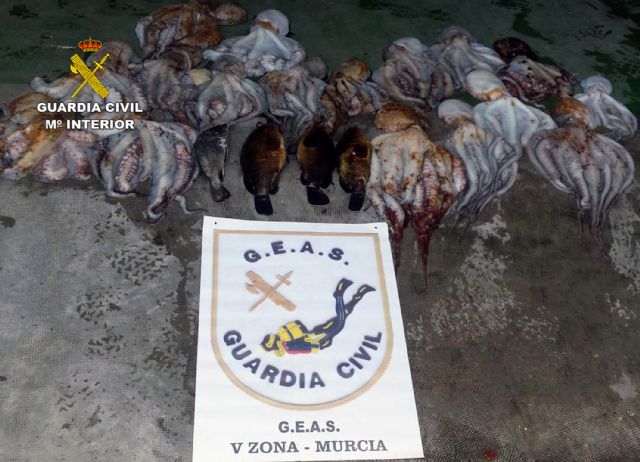 La Guardia Civil se incauta de 25 kilos de pulpo en aguas de Cartagena - 3, Foto 3