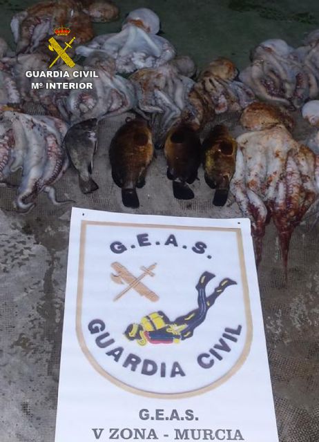 La Guardia Civil se incauta de 25 kilos de pulpo en aguas de Cartagena - 4, Foto 4