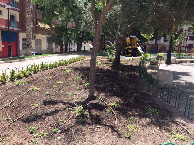 El vivero municipal proporciona 5.000 plantas a jardines y puntos verdes del municipio - 3, Foto 3
