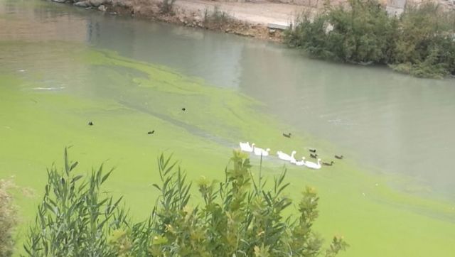 HUERMUR solicita el nombramiento de un nuevo Presidente de la Confederación Hidrográfica - 2, Foto 2