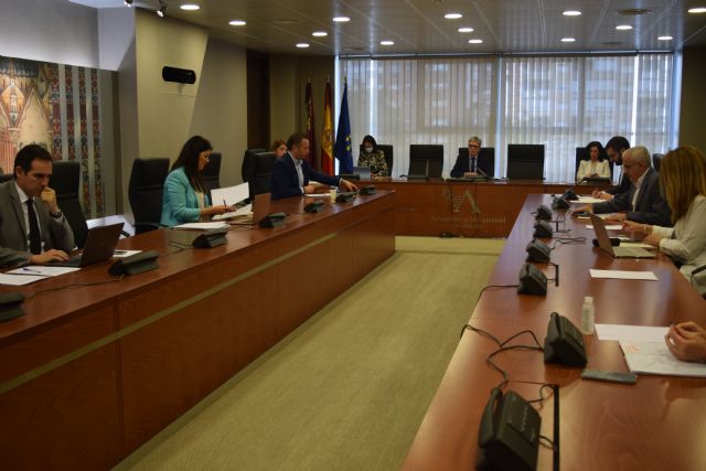 Miriam Guardiola: La FMRM se ha sumado a la reinvidicación del PP a Sánchez para que los ayuntamientos puedan utilizar el 100% del superávit - 3, Foto 3