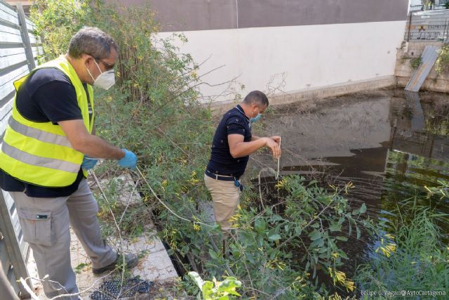 El Ayuntamiento toma muestras del agua estancada en un solar de Alfonso XIII para su evacuación - 1, Foto 1
